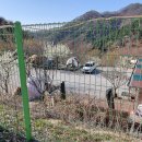 화천 휴 캠핑장 티스토리