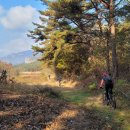 예향천리마실길 3코스 문수산단풍길 이미지