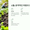 후계자주말농장 이미지