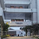 박거겸 장군 묘 | 남도 이순신의 길 - 조선수군 재건로 답사 첫째 날