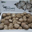 한수연의 백화고