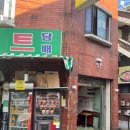 빛톤