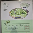 호수체육관 | 부천가볼만한곳 부천호수 식물원 수피아 관람 후기