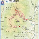 945 이미지