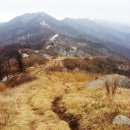 덕두산 Daum카페