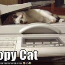 다함께 춤춤춤 이미지