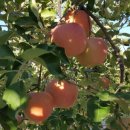 국토토지행정사사무소 이미지