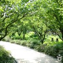 한국 정원의 진수를 만나다, 용인 호암미술관 희원 이미지