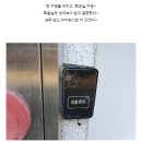 사파리모텔 이미지
