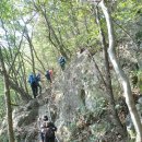 선운산 산행길과 상사화 이미지