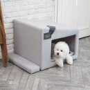 로아코리아 이미지