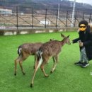더보이스코인노래연습장 이미지