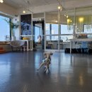 도토리 강아지 유치원 이미지