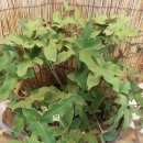 동의중학교 이미지