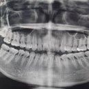 일광치과의원 이미지