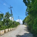 (07/07) 가평 화악산(1.468m) 조무락계곡 (승합)산행 입니다 이미지