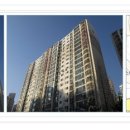 태비 튼튼태권도 이미지