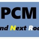 피씨엠(PCM) 이미지