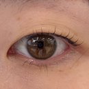 에스와이 | 합정역 속눈썹펌 추천 / 에스와이스튜디오 후기