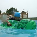 꽃향기 바다내음 이미지