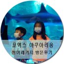 GKL행복(강남코엑스2호점)어린이집 | 코엑스 스타필드 아쿠아리움 썸머패키지 프로그램 10 특가할인 및 내돈내산 후기