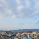 아지나라 이미지