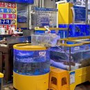 꿀장터 | [안면도바다수산] 안면도 수산시장 맛집 모듬회와 족발 꿀조합 포장 후기