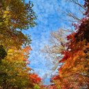 옛날의그집 이미지