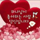 아라뜰펜션 네이버블로그