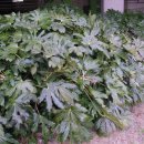 오륙도중학교 이미지