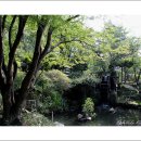 노송농원 이미지