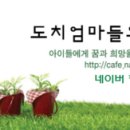 도치에듀케이션