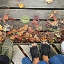 선돌촌마을 이미지