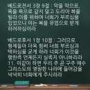 비앤비팜
