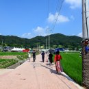 [1박2일] 강주리마을 해바라기축제 + 남해편백자연휴양림 이미지