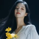 주식회사 펄스 이미지