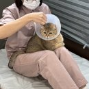 그루머스 스튜디오 이미지