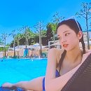 로지모지