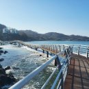 ♧11월19일(목)포항 호미반도 둘레길 3, 4코스 트레킹 예약 이미지