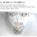 버들 BUDDLE 이미지