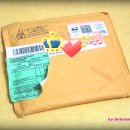 Animal Crackers 이미지