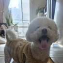 온블리살롱 이미지