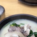 복덩이순대국 이미지