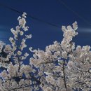 가산디지털단지역 5번출구 | 가산디지털단지역 야장 가디 포장마차 1박2일 평일 웨이팅 후기