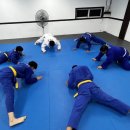 팀크로우 유도(오산) 이미지