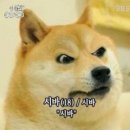 오마니 오리구이 | [일상 기록] 초스피드로 지나간 나의 5월 /아직은 어색한 나의일상기록