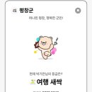 애견나라 이미지