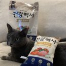 근본부터 다른 한 끼 건강백서 급여 후기