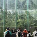 (주)세이브올 | 2025 UMF 울트라 뮤직 페스티벌 코리아 / 대웅제약 우루샷 세이브더히어로