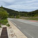 황매산 벚꽃길 | 알레버스타고 황매산 철쭉보러